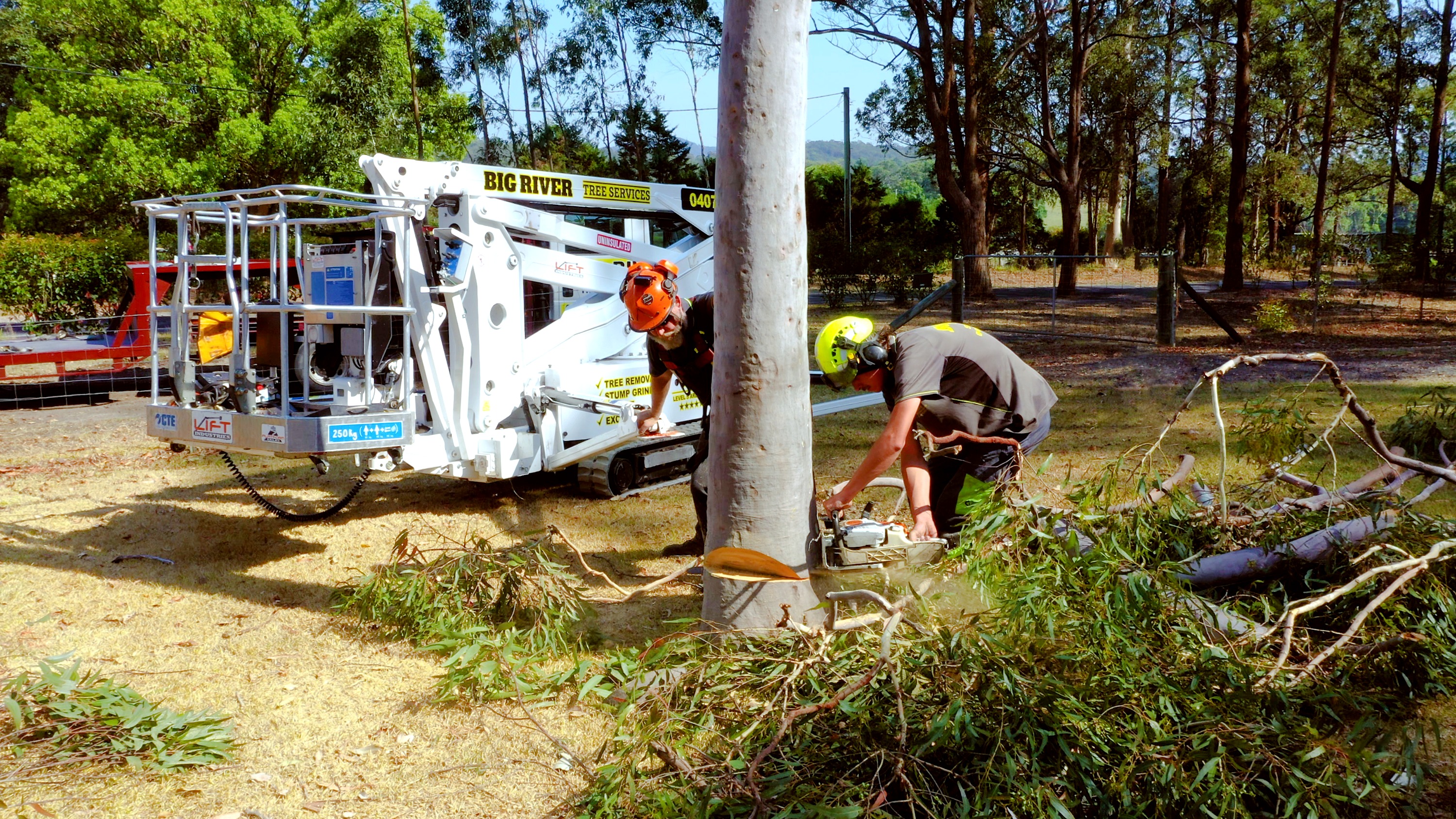 Big River Tree Services crew completing careful tree removal with specialist access equipment